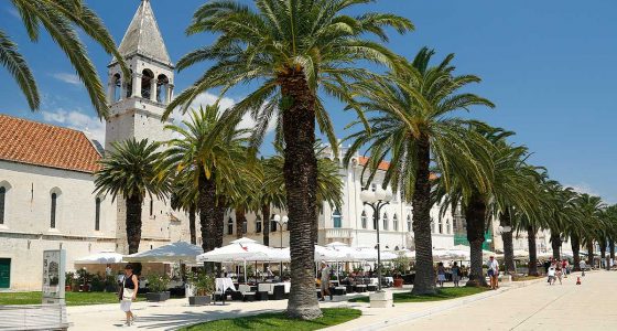 Palm trees on Trogir Promenade