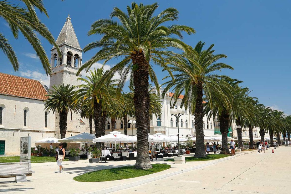 Palm trees on Trogir Promenade