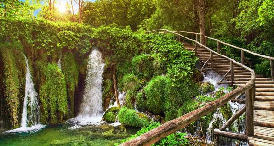 trail by the Plitvice cascades