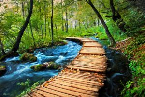 wooden trail through the woods in Plitvice