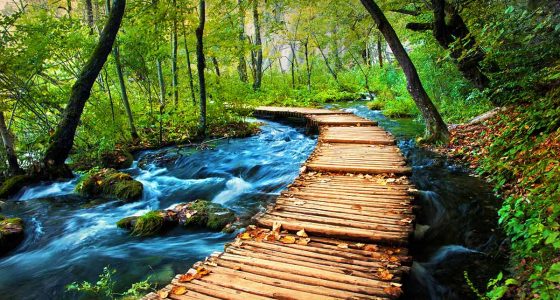 wooden trail through the woods in Plitvice