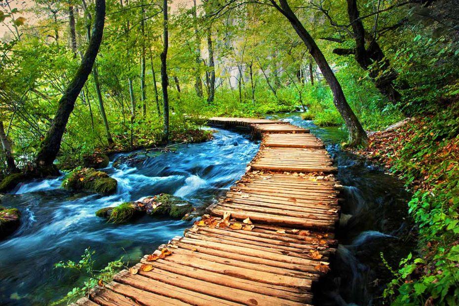 wooden trail through the woods in Plitvice