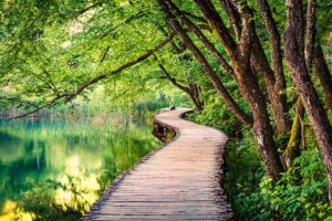 walk through the interconnecting Plitvice lakes