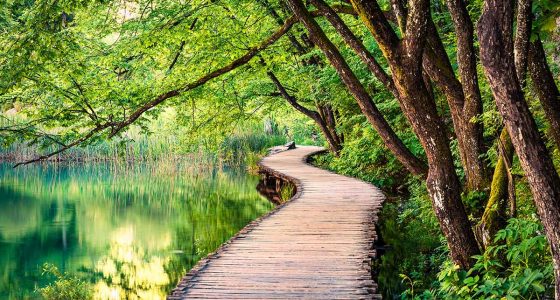 walk through the interconnecting Plitvice lakes