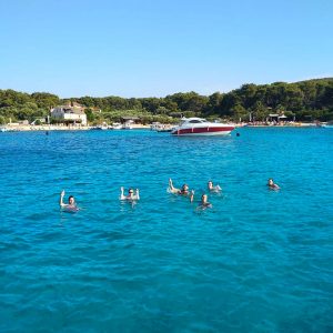 group-photo-in-the-clear-blue-sea