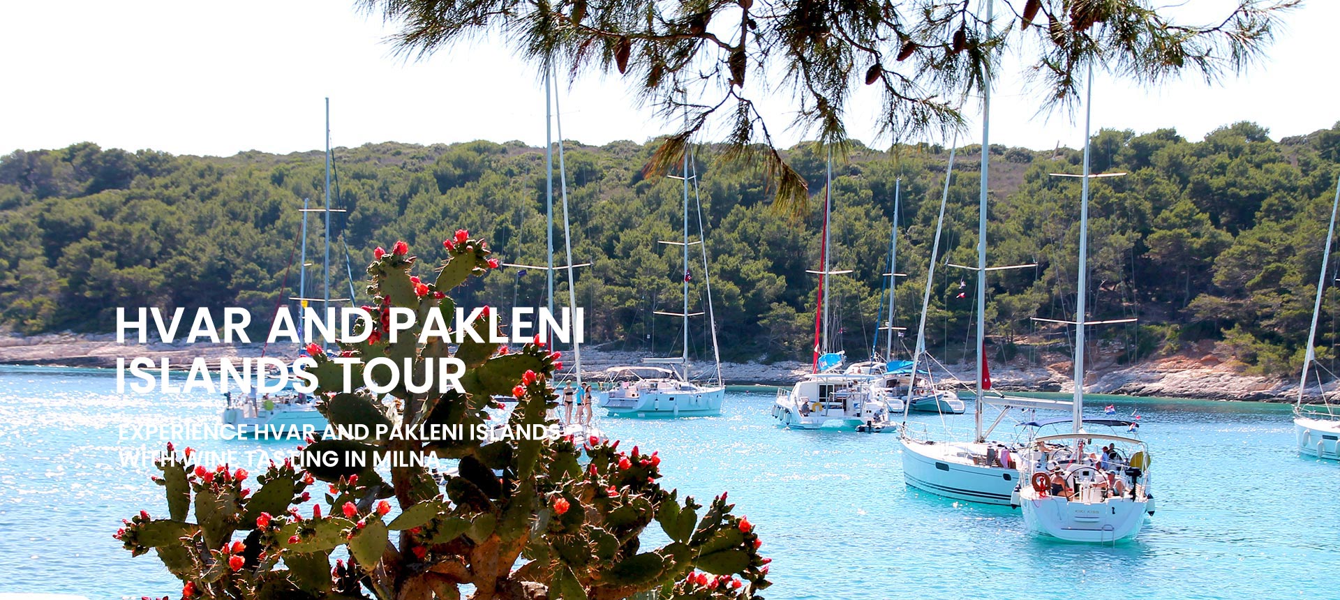 Private tour to Hvar and Pakleni islands